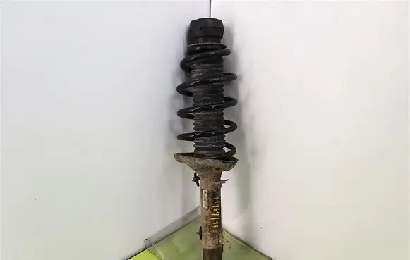 Front shock absorber with coil spring