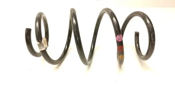 Volkswagen Tiguan Front coil spring