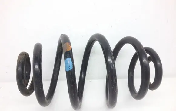 Volkswagen PASSAT B5.5 Rear coil spring
