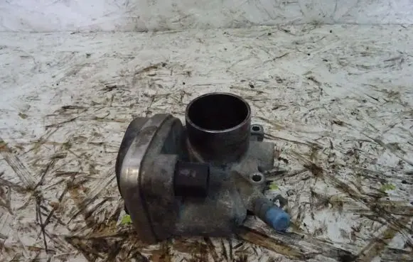 Throttle body valve