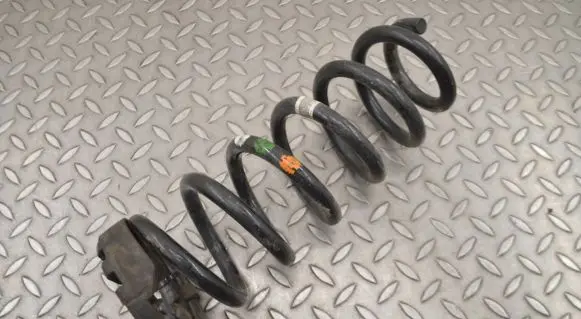 Land Rover Discovery Sport Rear coil spring FK725B749DB