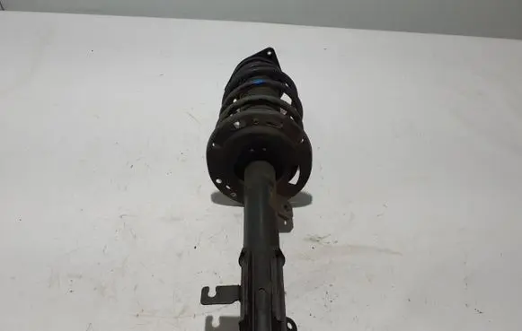 Citroen C4 III e-C4 Front shock absorber/damper 9842991880