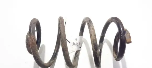 Rear coil spring
