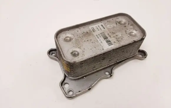 Mercedes-Benz R W251 Engine oil radiator 5989070191 32151