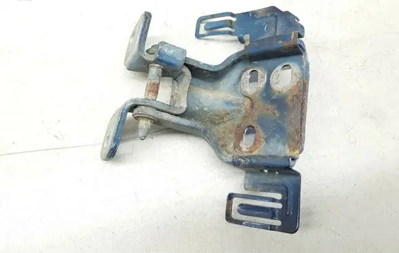 Chrysler Voyager Front door lower hinge 036AAN1M