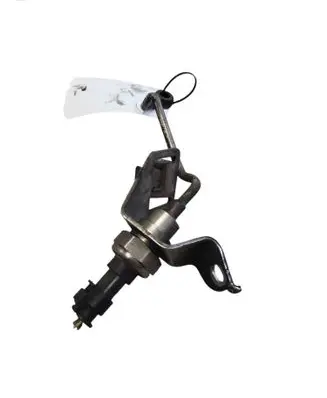 Volvo S60 Exhaust gas pressure sensor 31319419