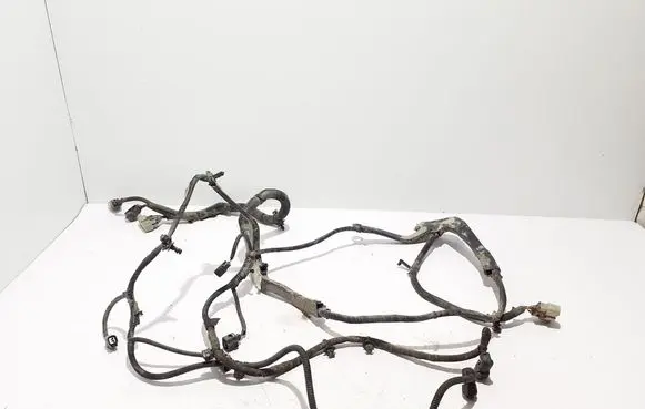 Tesla Model X Other wiring loom 163244802G