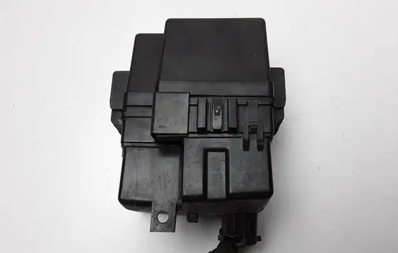 KIA Rio Fuse module 919401R300