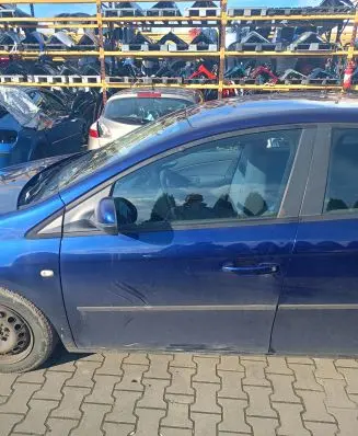 Fiat Bravo Front door
