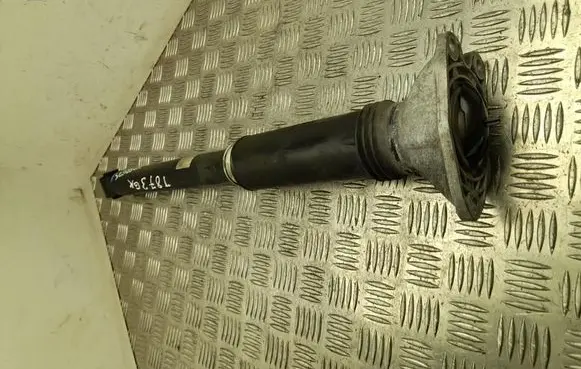 BMW 2 Active Tourer U06 Rear shock absorber/damper 5A13769