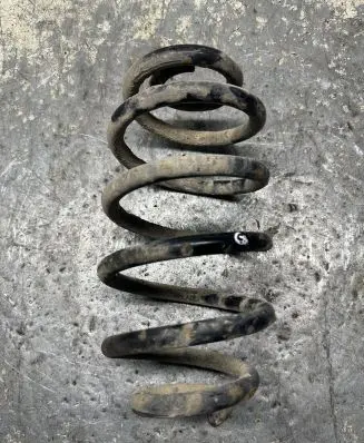 Opel Signum Rear coil spring