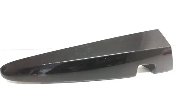 Rear/tail light trim molding