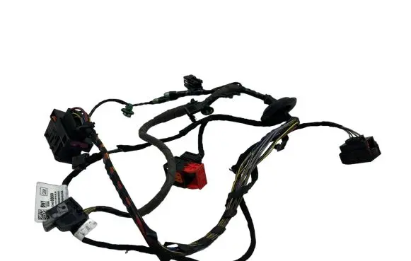 Front door wiring loom