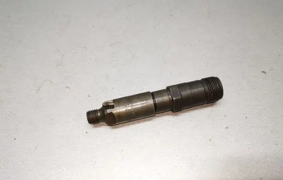 Mercedes-Benz C W202 Fuel injector 0000100551