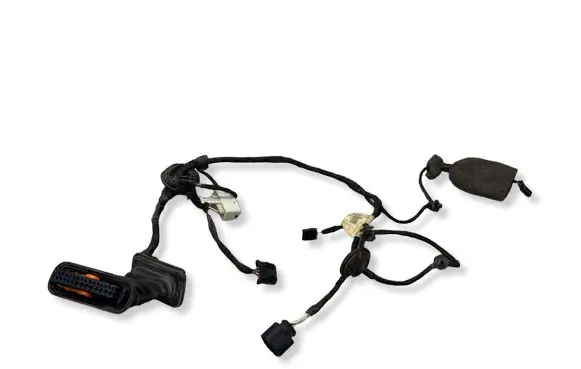 Volkswagen PASSAT B6 Rear door wiring loom 3C4971694EP