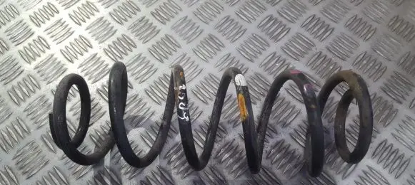 Suzuki Swift I Rear coil spring