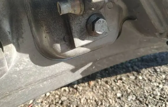 Rear door lower hinge