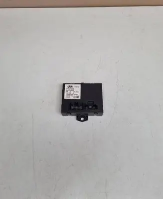 Hyundai Santa Fe Other control units/modules 954702W700