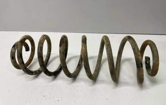 Volkswagen PASSAT B6 Rear coil spring