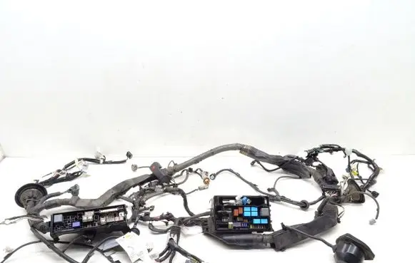 Lexus RC Engine installation wiring loom 
