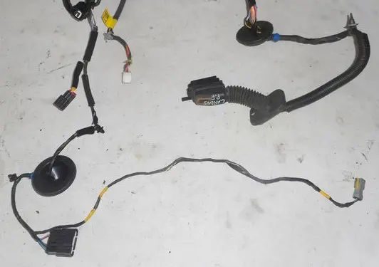 KIA Carens III Front door wiring loom 91610A4150
