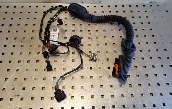 Rear door wiring loom