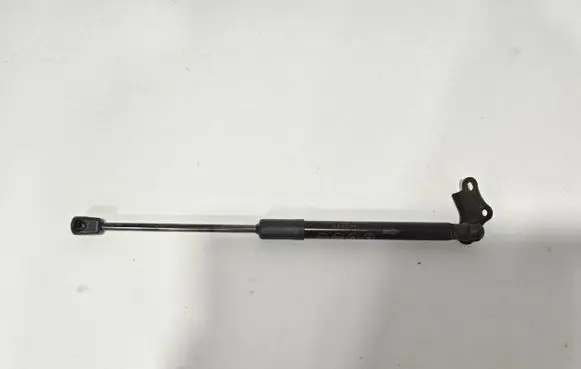 Tailgate/trunk strut/damper