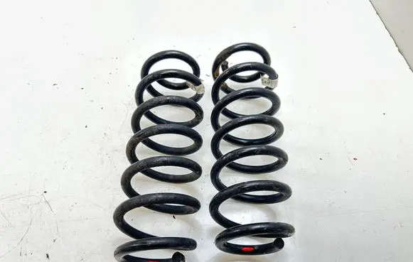 Rear coil spring