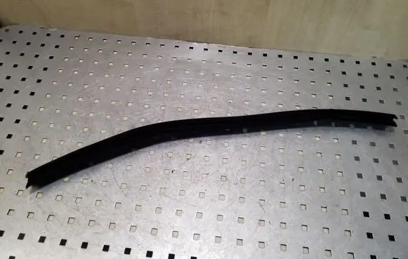 Renault Kadjar Rubber seal rear door 