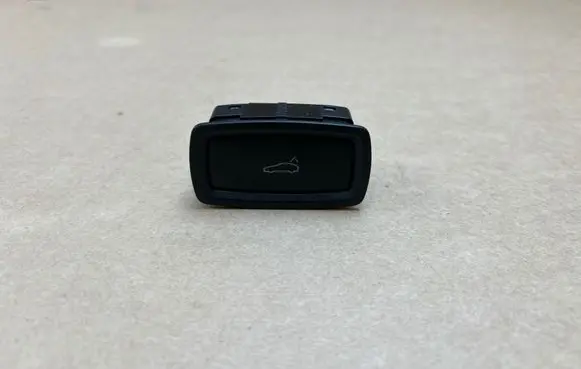 Porsche Panamera (971) Tailgate/trunk/boot open switch 7PP959832H