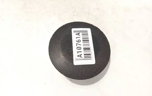Front door speaker