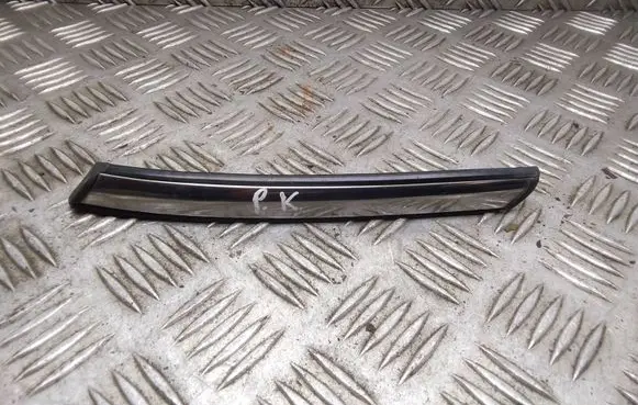 Mini One - Cooper Coupe R56 Front door glass trim molding 