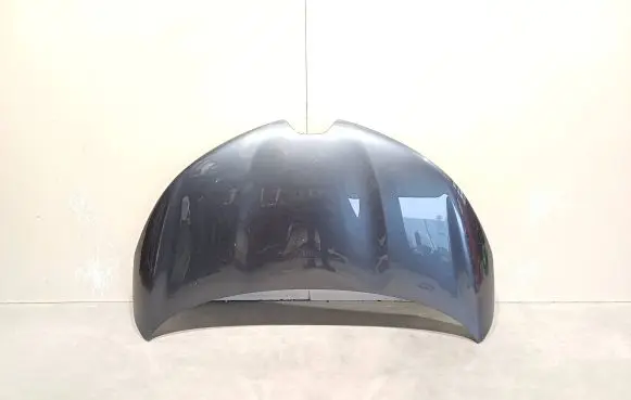 Renault Zoe Engine bonnet/hood