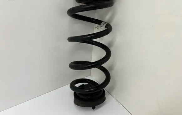 Rear coil spring