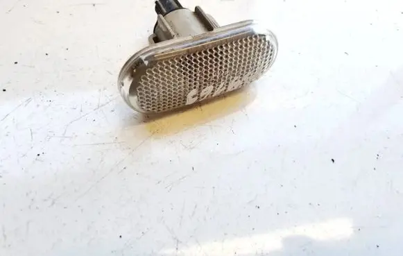 Front fender indicator light