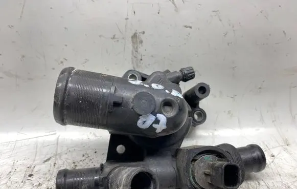 Thermostat/thermostat housing