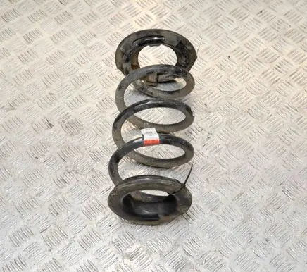 Tesla Model 3 Rear coil spring 104447201E