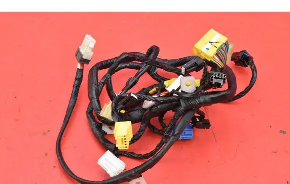 Tesla Model S Other wiring loom F181FPCAA01