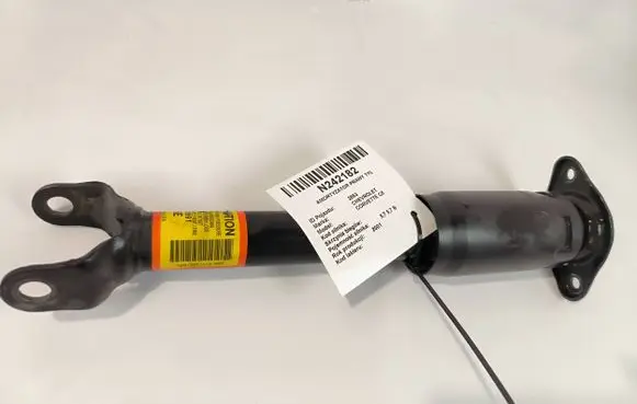 Chevrolet Corvette C5 Rear shock absorber/damper 10431991