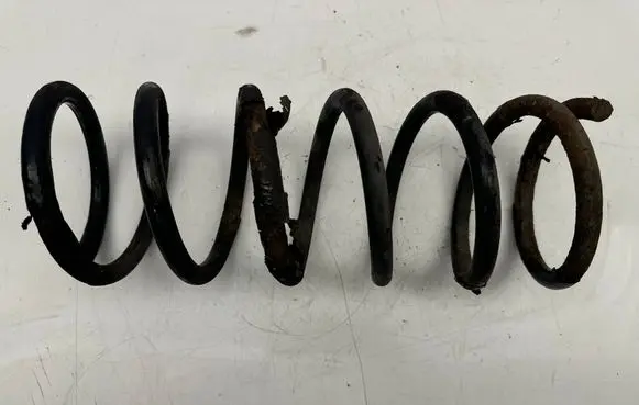Rear coil spring