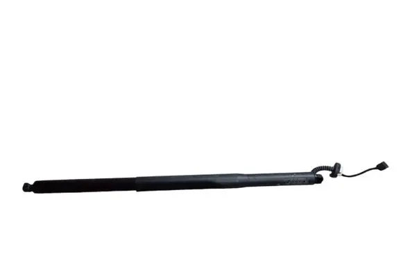Tailgate/trunk strut/damper