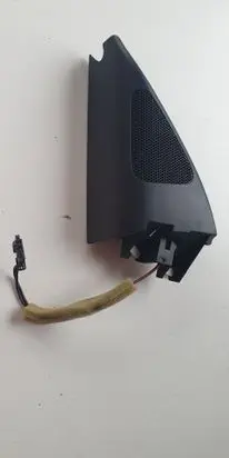 Volkswagen PASSAT B7 Front door speaker