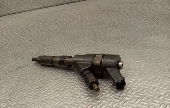 Citroen C5 Fuel injector 0445110008 9635196580