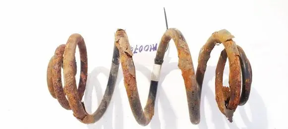 Rear coil spring