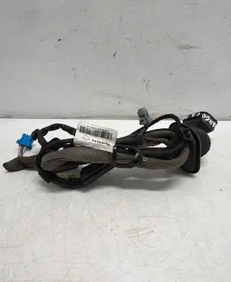 Renault Kangoo II Front door wiring loom 8200809186