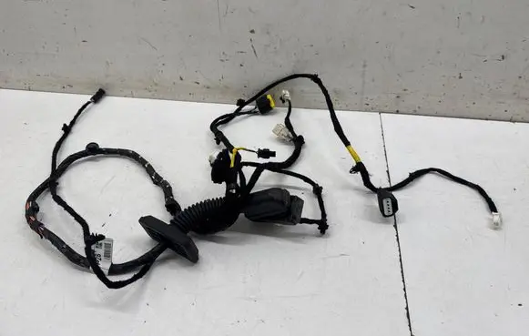 Front door wiring loom