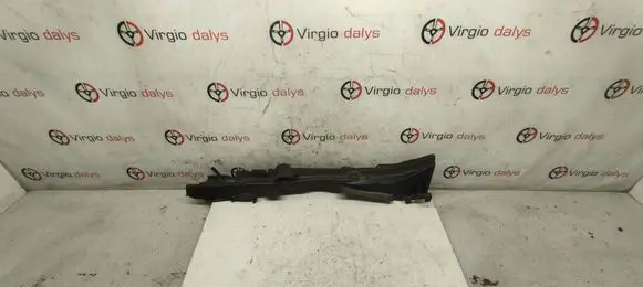 Renault Latitude (L70) Fender trim (molding) 668620015R