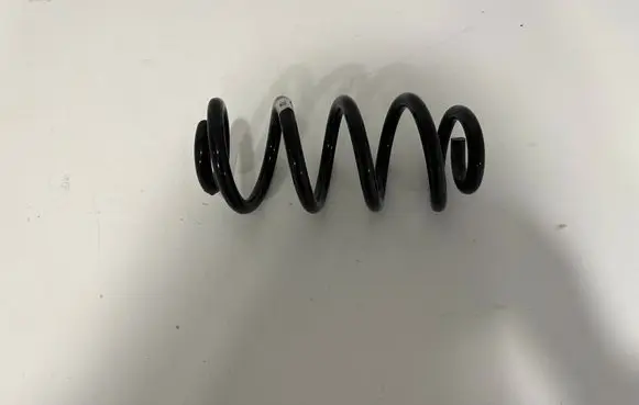 Rear coil spring