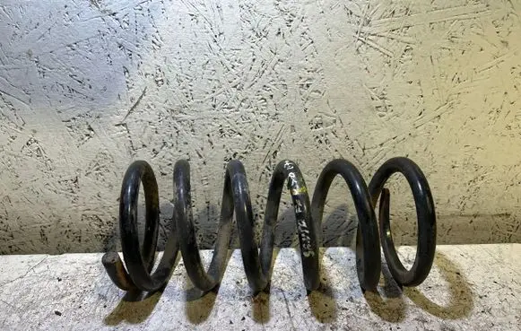 Hyundai Santa Fe Rear coil spring