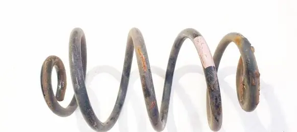 Rear coil spring
